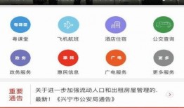 兴宁新闻最新爆料视频大全,视频大全揭秘热点事件